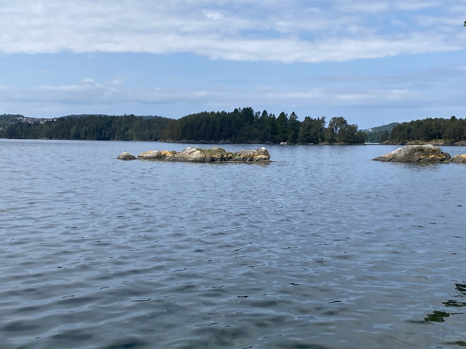 Bergen Week Three