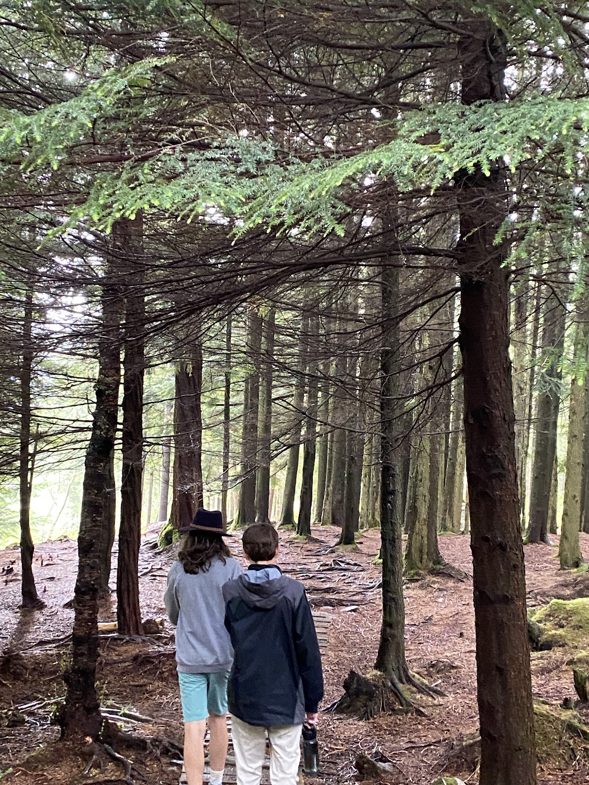 Bergen Week Three