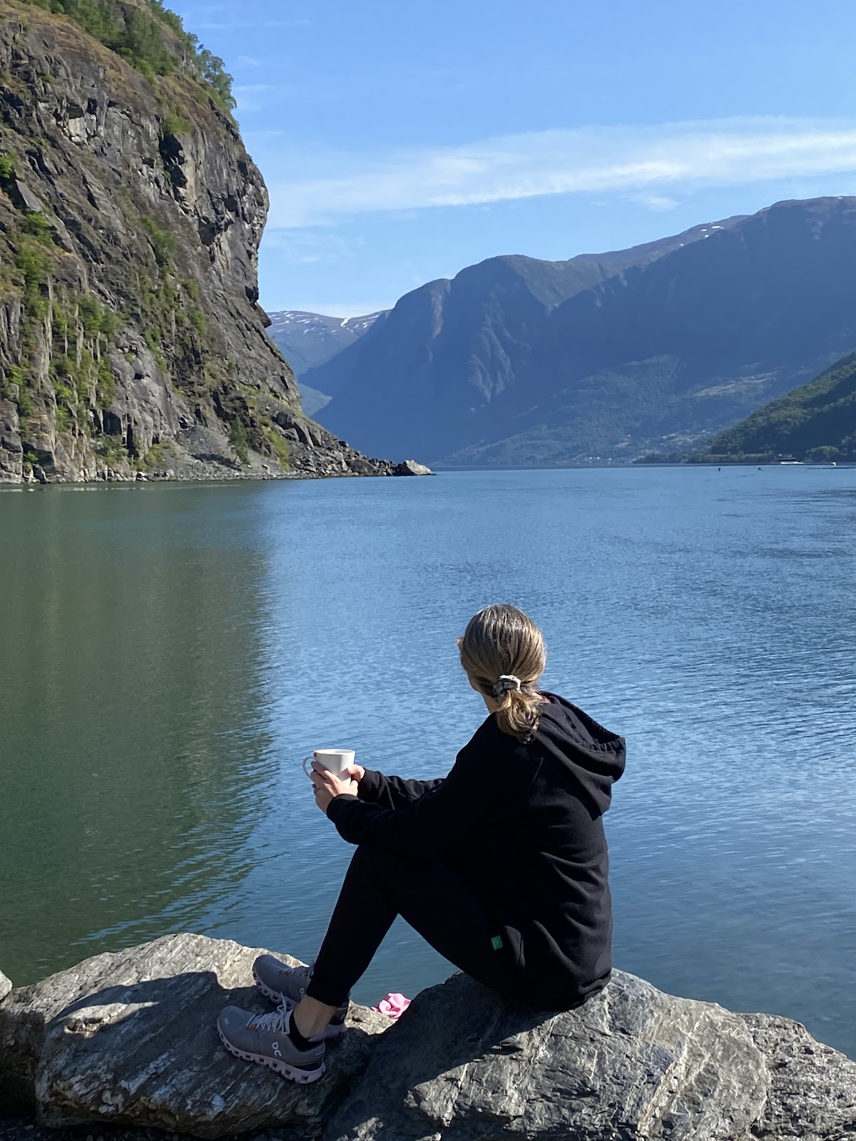 Flam and Scenic Norway