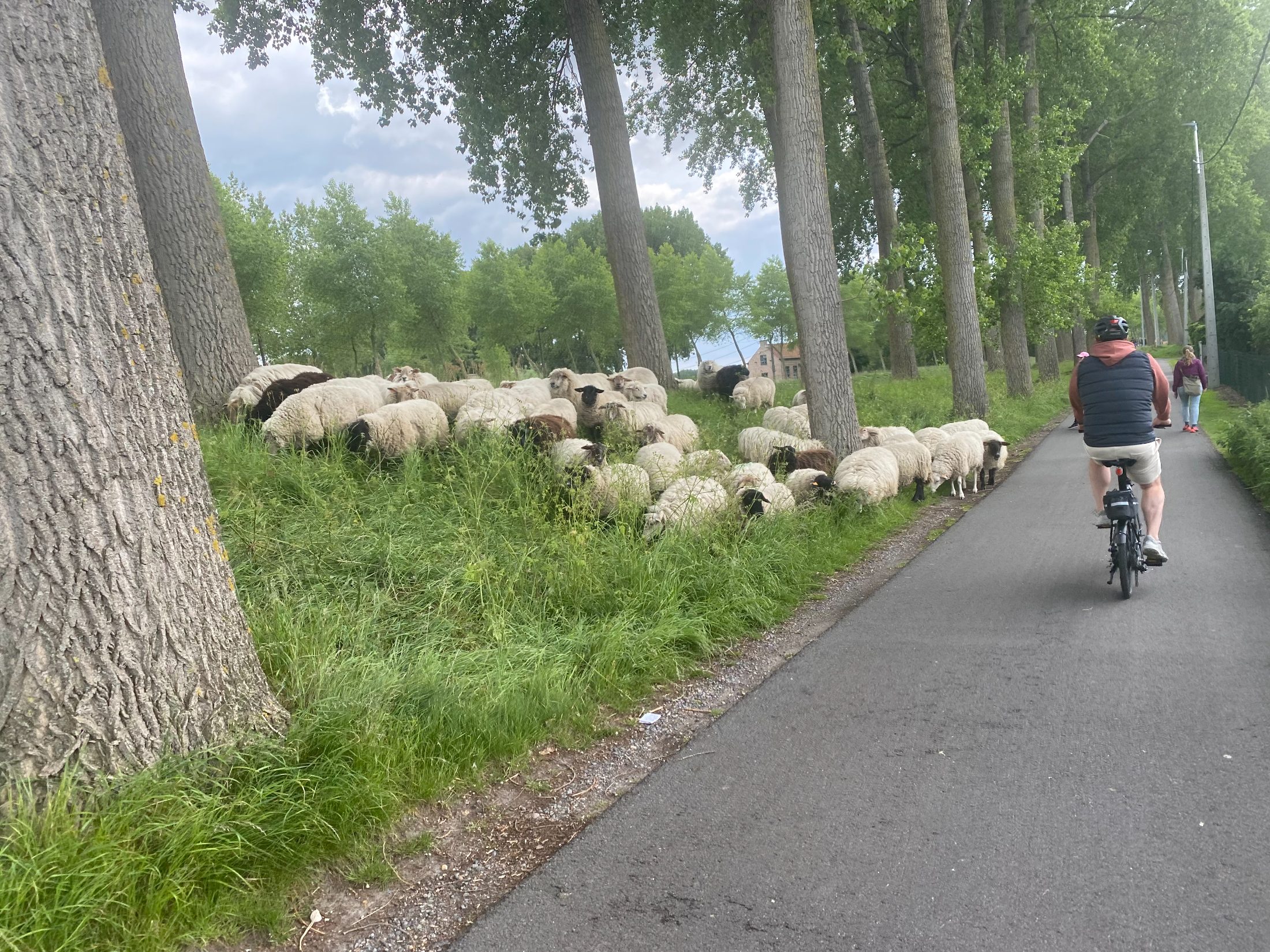 Brugge: Days 6-11