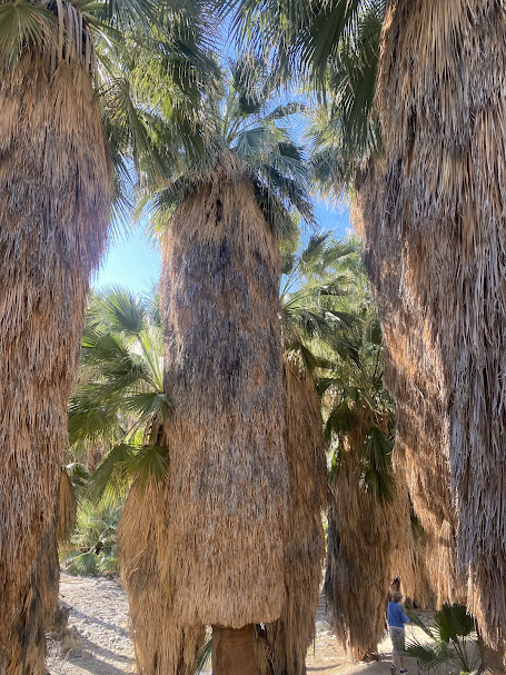 Desert, Mountains, and Wine Country