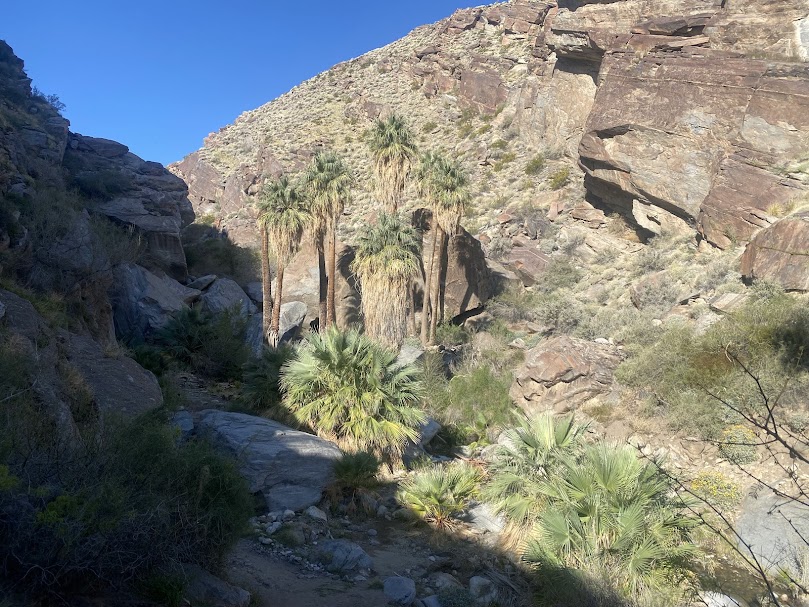 Desert, Mountains, and Wine Country