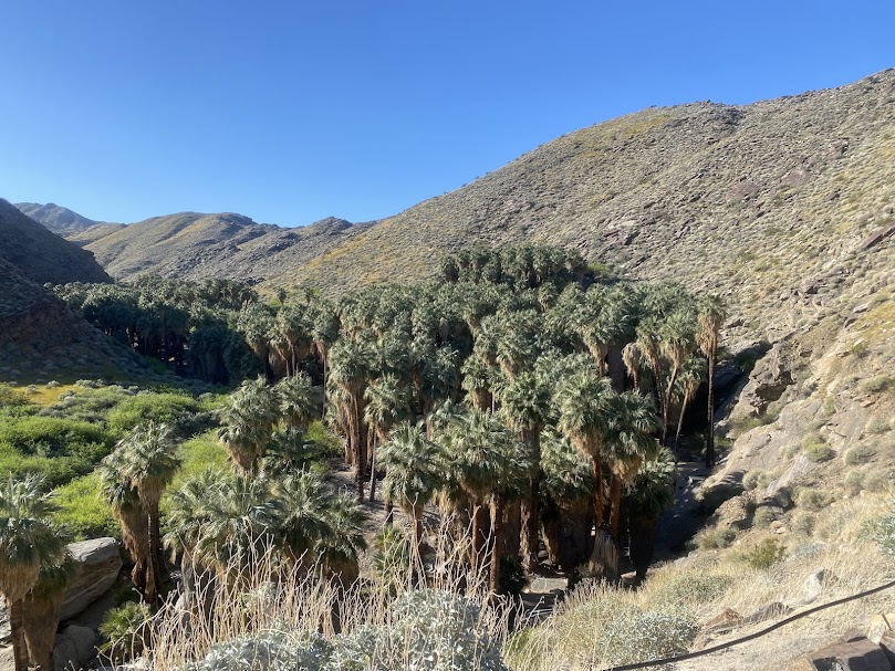 Desert, Mountains, and Wine Country