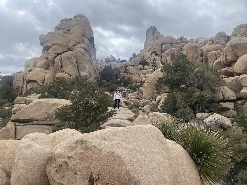 Desert, Mountains, and Wine Country